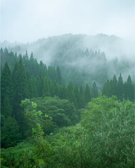 情緒と気配