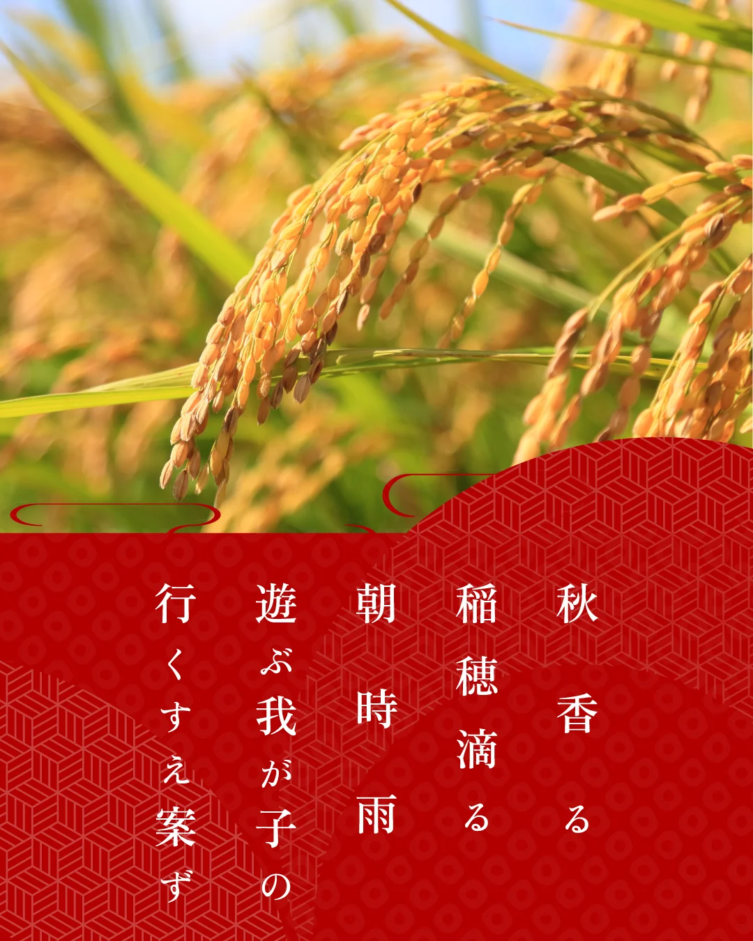 秋香る 稲穂滴る 朝時雨 遊ぶ我が子の 行くすえ案ず